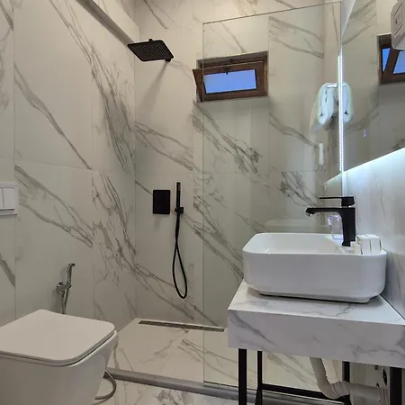 Hotel Orchids 3*