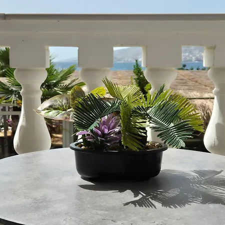 Orchids Hotel