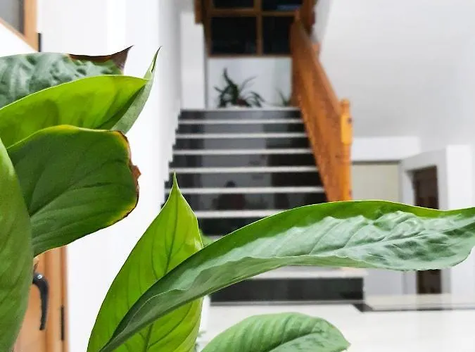 Hotel Orchids Sarande