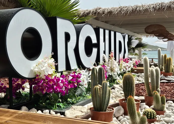 Orchids Hotel Sarande