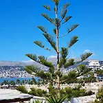 Orchids Σαράντα