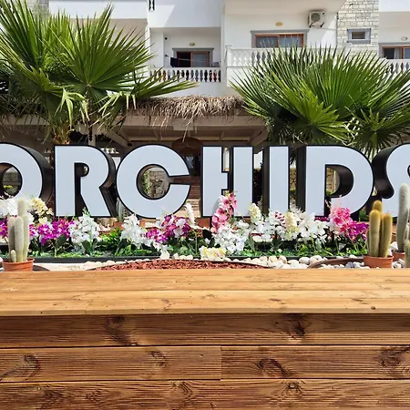 Orchids
