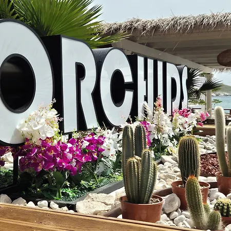 Orchids Hotel 3*